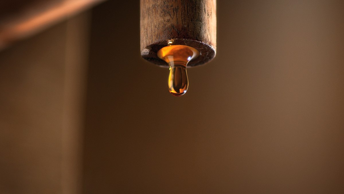 1200px Fish sauce