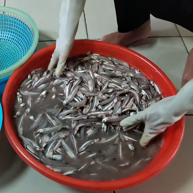 Phương pháp chế biến nước mắm cá cơm truyền thống tại gia chuẩn vị 11 Sơ chế cá cơm trước khi làm nước mắm truyền thống