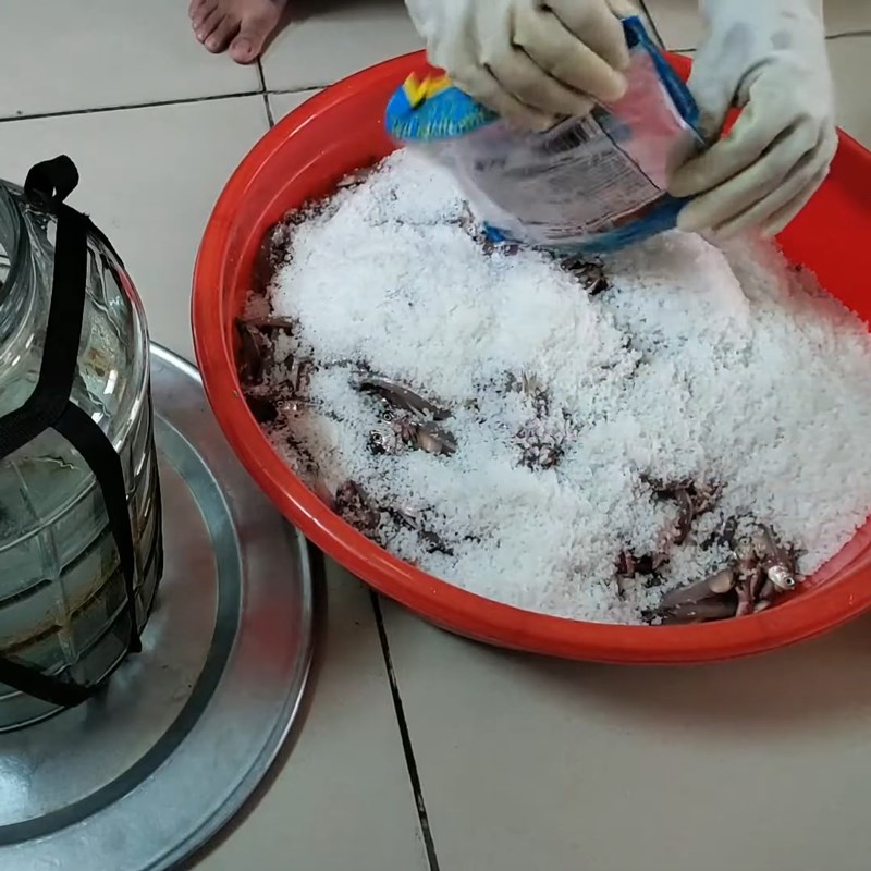 Phương pháp chế biến nước mắm cá cơm truyền thống tại gia chuẩn vị 10 Cá cơm được ướp muối theo phương pháp truyền thống