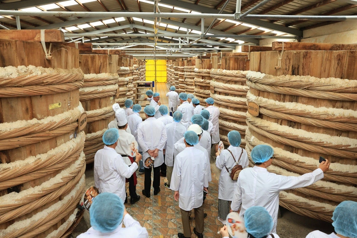 Nhà thùng nước mắm Phú Quốc
