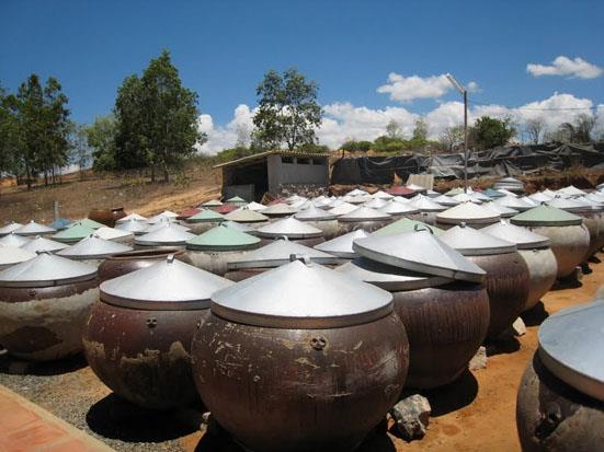 phan thiet fish sauce 546 5