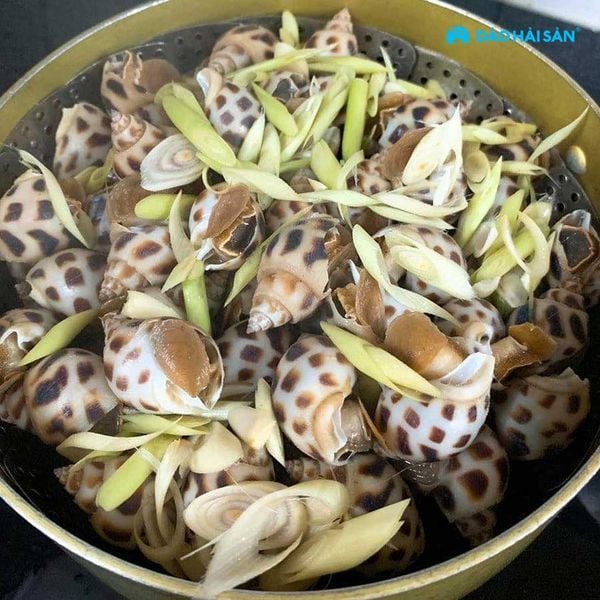 Ốc Hương Hấp Nước Mắm Ngon Chuẩn Nhà Hàng, Không Bị Teo 7 Ốc hương hấp nước mắm thơm ngon giữ trọn vị ngọt tự nhiên của hải sản