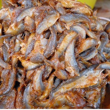Mắm cá linh là gì? Đặc sản miền Tây chuẩn vị sông nước 10 Cá linh tươi mùa nước nổi Đồng bằng sông Cửu Long dùng làm mắm cá linh truyền thống
