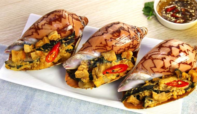 Ốc giác hấp nước mắm ngon chuẩn vị: Bí quyết giòn ngọt, không dai 9 Chọn ốc giác tươi sống để làm món ốc giác hấp nước mắm ngon chuẩn vị